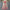 Erica Floral Dress - Label Frenesi Fashion