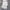 Furly Coord Set - Label Frenesi Fashion