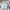 Furly Coord Set - Label Frenesi Fashion