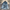Gigi Denim Shirt - Label Frenesi Fashion