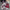 Gina Swimsuit Set - Label Frenesi Fashion