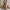 Gold Slip Dress - Label Frenesi Fashion