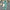 Hailey Co-ord Sets - Label Frenesi Fashion