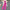 Holly Tube Coord Sets - Label Frenesi Fashion
