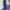Iris Pants - Label Frenesi Fashion