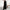 Jason wide leg Pants - Label Frenesi Fashion