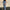 Jedi Ribbed Denim Jeans - Label Frenesi Fashion