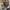 Jess Off Shoulder Sweater - Label Frenesi Fashion