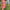 Jessy Tweed Sets - Label Frenesi Fashion