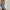 Jony Slit Denim Pants - Label Frenesi Fashion