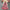 Jovi Floral Dress - Label Frenesi Fashion