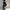 Judas PU Leather Pants - Label Frenesi Fashion
