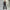 Judas PU Leather Pants - Label Frenesi Fashion