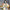 Kawai Floral Sweaters - Label Frenesi Fashion