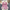Kesha top & pants set - Label Frenesi Fashion
