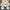 Kevin Bubble Sleeves Top - Label Frenesi Fashion