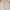 Kitty Plush Lingerie Set - Label Frenesi Fashion