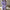 Knitted Streetstyle Knit Sets - Label Frenesi Fashion