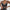 Kris Lace Bralette Top - Label Frenesi Fashion