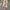 Kriss Co-ord Sets - Label Frenesi Fashion