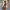 Kriss Co-ord Sets - Label Frenesi Fashion