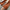 Kriss Co-ord Sets - Label Frenesi Fashion