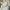 Kriss Co-ord Sets - Label Frenesi Fashion