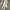 Kriss Co-ord Sets - Label Frenesi Fashion