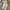 Kyle Knitted Co-ord Set - Label Frenesi Fashion