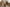Kylie Fur Jacket - Label Frenesi Fashion