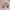 Kylie Princess Heels - Label Frenesi Fashion