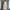Lee Fur Woolen Coat - Label Frenesi Fashion