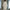Lee Fur Woolen Coat - Label Frenesi Fashion