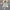 Liam Embellish Blazer & Pants Set - Label Frenesi Fashion