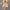 Liam Embellish Blazer & Pants Set - Label Frenesi Fashion