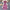 Liza Holiday Dress - Label Frenesi Fashion