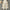 Lola Embellish Pants - Label Frenesi Fashion
