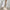 Lola Fur Coat Jacket - Label Frenesi Fashion