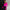 Lola Hot Pink Glove Top - Label Frenesi Fashion