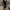 Maiki Jumpsuits - Label Frenesi Fashion