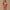 Nadia Rose Bikini Swimsuit - Label Frenesi Fashion