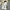 Natalie Flared Pants - Label Frenesi Fashion
