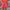 Nelly Skort Bottoms - Label Frenesi Fashion