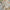 Oasis Crochet Beachwear Set - Label Frenesi Fashion