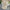 Oasis Crochet Beachwear Set - Label Frenesi Fashion