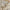 Oasis Crochet Beachwear Set - Label Frenesi Fashion