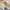 Oasis Crochet Beachwear Set - Label Frenesi Fashion