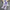 Ombre Tube Co-ord Sets - Label Frenesi Fashion