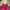Pink Denim Romper - Label Frenesi Fashion