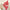 Quirk Swimsuit Monokinis - Label Frenesi Fashion